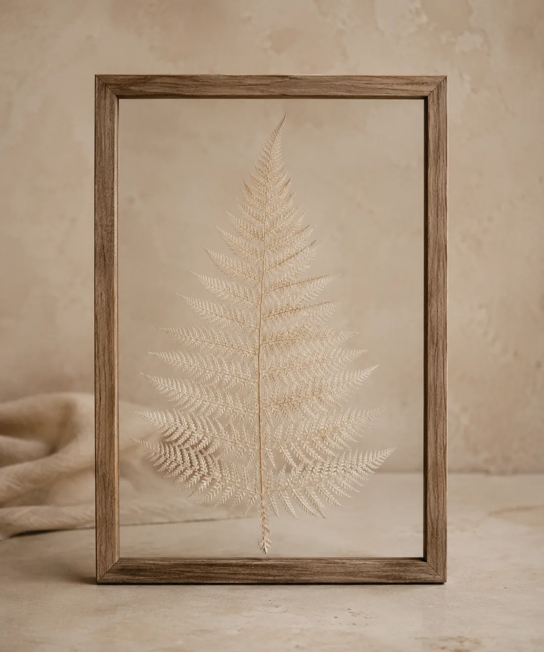 Bleached Fern Frame