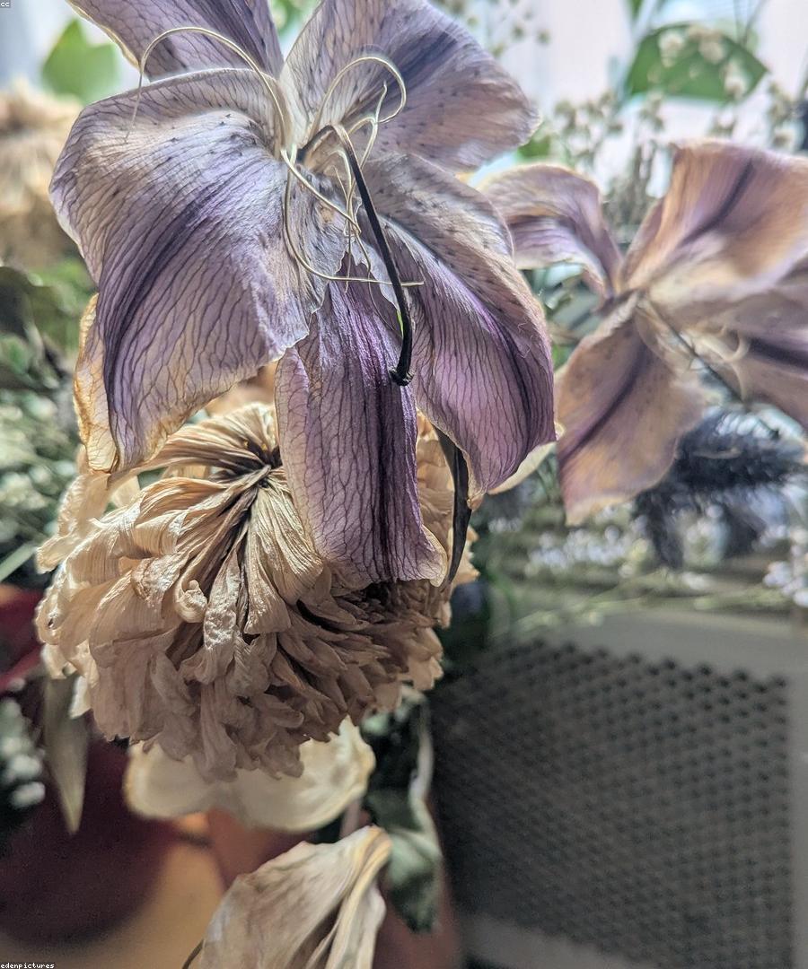 Heirloom Statement Piece